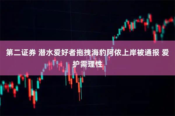 第二证券 潜水爱好者拖拽海豹阿侬上岸被通报 爱护需理性