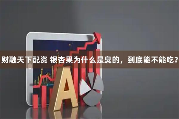 财融天下配资 银杏果为什么是臭的，到底能不能吃？